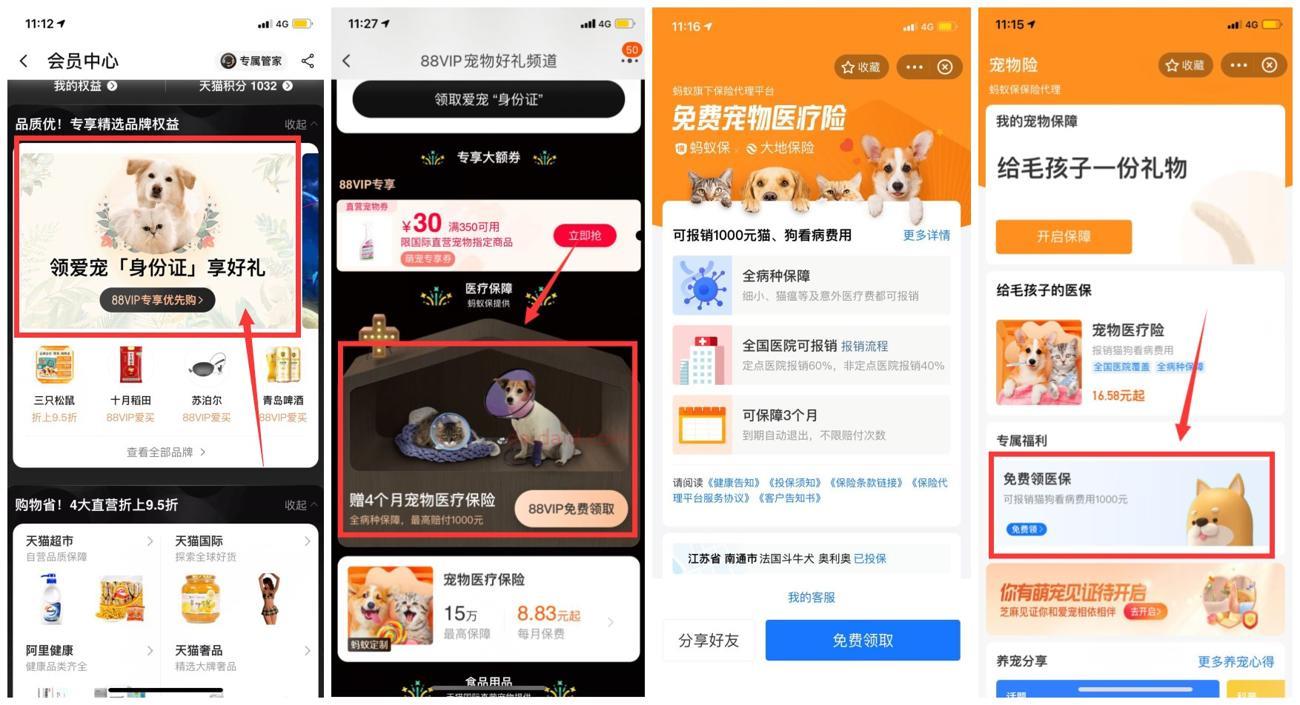 免费领3~4个月宠物医疗保险 可报销猫狗看病费用
