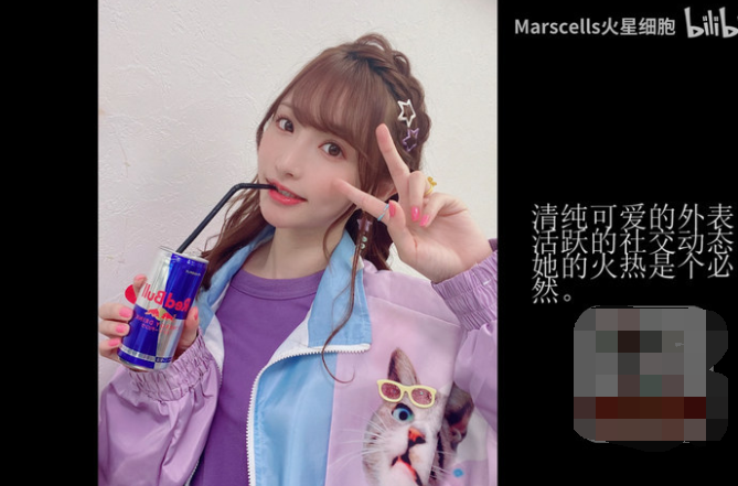 B站某博主 专做女优介绍,目前已有60期