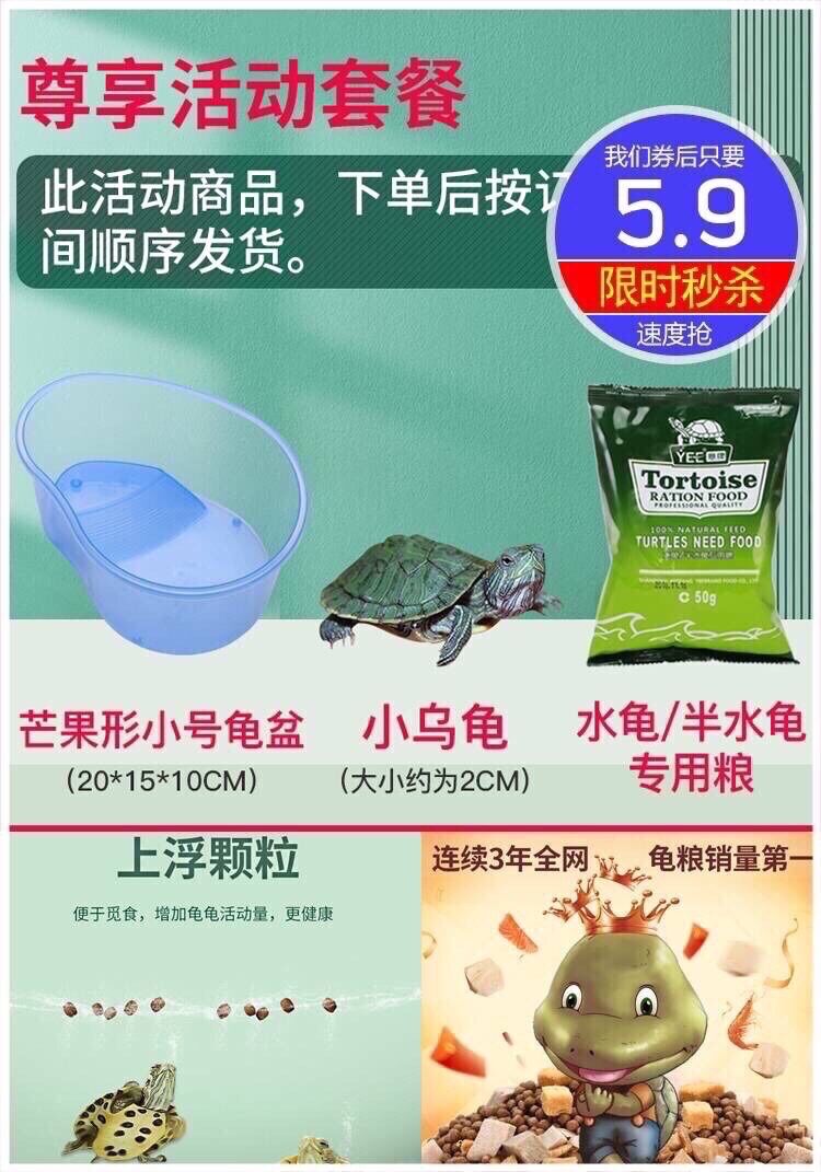 5.9元买龟粮+龟盆+小乌龟 5.9元买龟粮+龟盆+小乌龟