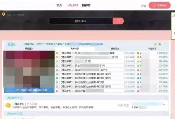全球最大儿童色情网站被端 全球最大儿童色情网站被端